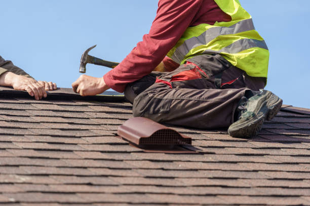Best Roof Leak Repair  in Novi, MI