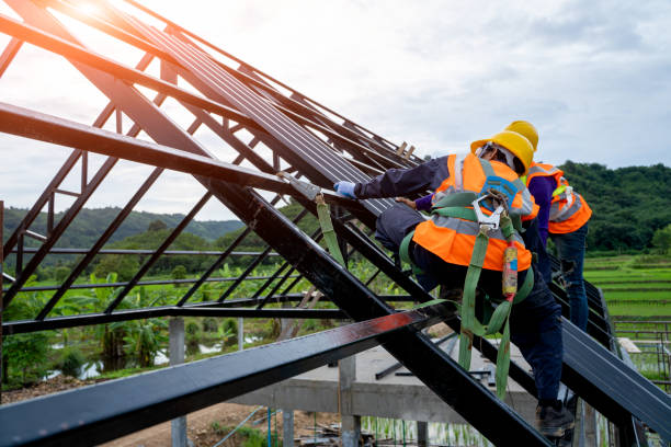 Best Gutter Installation and Roofing  in Novi, MI