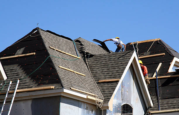Best Roof Leak Repair  in Novi, MI