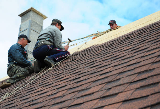 Best Roof Waterproofing Services  in Novi, MI