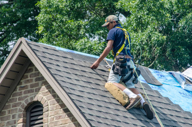 Best Emergency Roof Repair  in Novi, MI